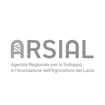 Logo Arsial — cliente TO YOU