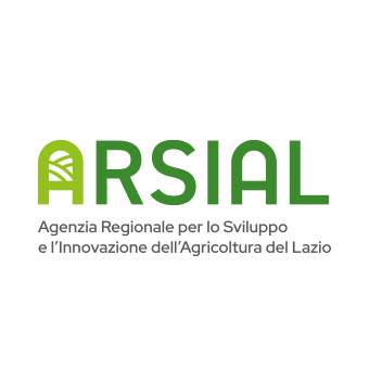 Logo Arsial — cliente TO YOU